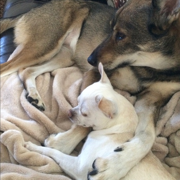 Meet your Posher, Lori - Picture 3 of 3